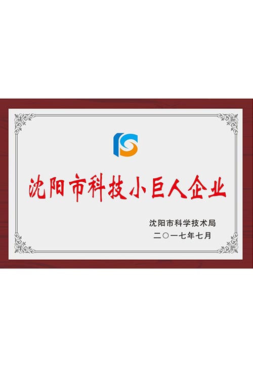 沈陽市科技小巨人企業(yè)